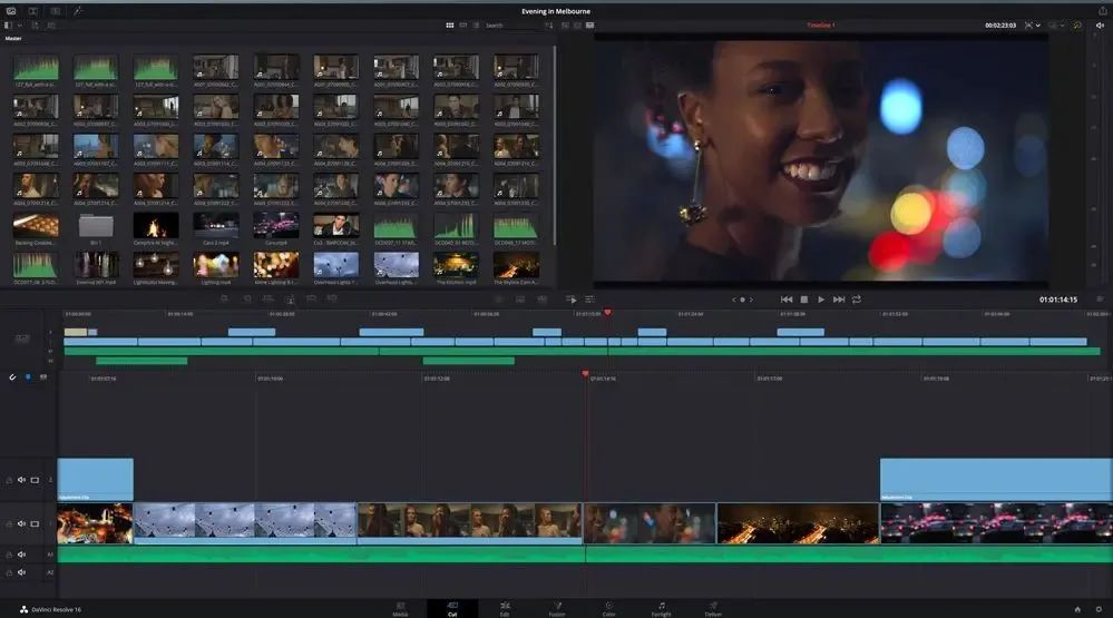 Linux Video Editor