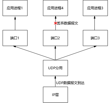 TCP and UDP