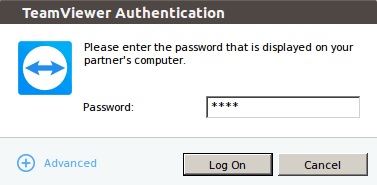 Linux TeamViewer Connect Password