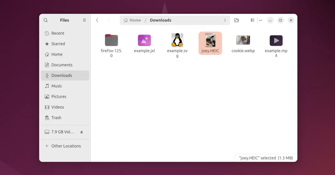 Ubuntu 24.04 LTS Noble Numbat